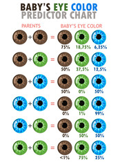 Baby eye color predictor chart template.