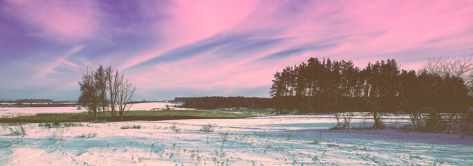 Poster - Snowy field during sunset in winter. Horizontal banner