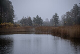 Fototapeta Na ścianę - dark autumn misty landscape with forest, forest lake, pond in wods, calm water, river reeds with reflection. 