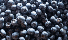 Blueberries Floating. Fresh Blueberries Background With Copy Space For Your Text. Vegan And Vegetarian Concept.Texture Blueberry Berries Close Up.