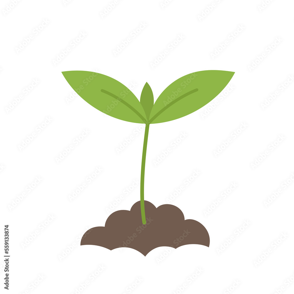 Seed Germination Sketch - Plant Growth – Royalty-Free Vector | VectorStock, image size:1000x1000