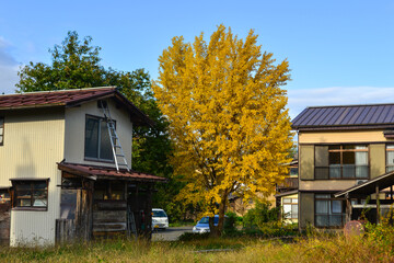 Wall Mural - Small town of Gunma, Japan