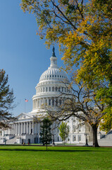 Poster - US Capitol building during autumn - Washington DC, United States