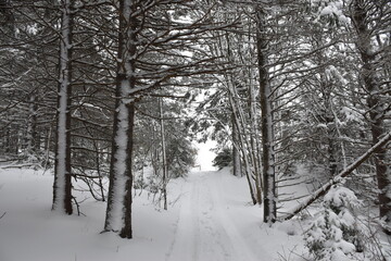  A snowmobile trail, Sainte-Apolline, Québec, Canada