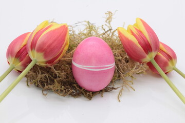 Colorful Easter eggs lie on moss on white background