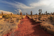 Red Sand Covered Footpath Going From The Resort Area To Uluru-Ayers Rock. NT-Australia-389