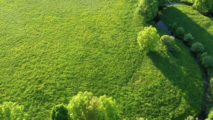 Wall Mural - Forest in summer colors. Green deciduous trees and winding blue river in sunset. Soomaa wooded meadow, Estonia, Europe