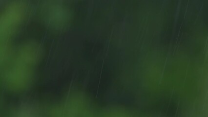 Wall Mural - Falling raindrops on a blurred dark green background.