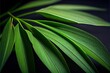 Bamboo leaf, green nature closed up (Ai generated)