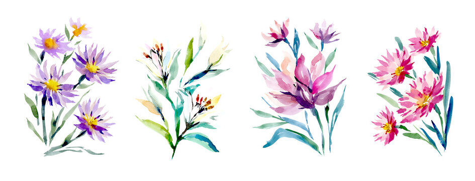 Daisies and lilies. A set of watercolor flowers on a white background. Flower arrangements for the design of postcards, invitations, banners, labels