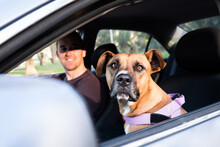 Dog And Smiling Man Sitting In Silver Car Looking At Camera Ready For Road Trip