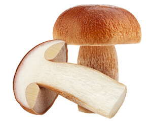 mushroom, boletus edulis, porcini, king bolete, isolated on white background, clipping path, full depth of field