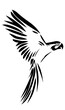 flying macaw vector illustration	