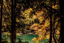 Lake View Through Autumn Red Green Forest