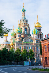 Wall Mural - Church of the Resurrection of Christ (saved for blood) Russia in the daytime