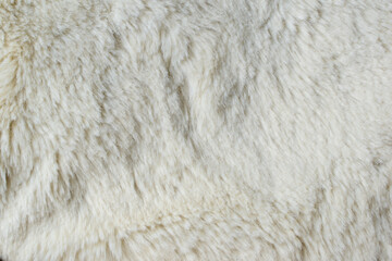 Wall Mural - Cream white wool texture, abstract fur background