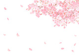 Fototapeta Na ścianę - かわいい薄いピンク色の桜の花と花びら春の水彩白バックフレーム背景素材イラスト