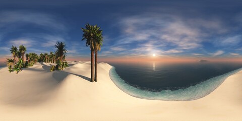 Wall Mural - Tropical island with a palm tree at sunset. HDRI, environment map , Round panorama, spherical panorama, equidistant projection, panorama 360, seascape, 3d rendering.