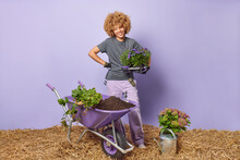 Home Gardening Concept. Positive Female Housewife Holds Potted Flowers Busy Planting Takes Care Of Plants Dressed In Workwear Enriches Cultivate Ground Stands Near Wheelbarrow And Watering Can