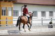 portrait of attractive woman rider and bay mare horse galloping during equestrian dressage competition in summer in daytime