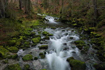  Aubach im Kleinwalsertal bei der Ortschaft Riezlern.