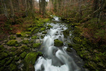  Aubach im Kleinwalsertal bei der Ortschaft Riezlern.