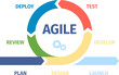 Agile management and develop process infographic. Work sprint cycling diagram, scrum metod in project. Agility style working graphic recent vector icon