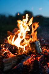 Wall Mural - Bonfire. Large orange flame on a black background. Fire on black. Brightly, heat, light, camping, big bonfire. rose