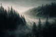 Leinwandbild Motiv Forest landscape view from above, foggy forest. AI
