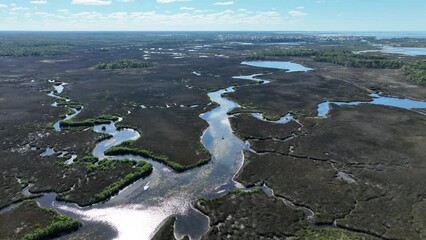 Fototapete - Hernando Beach Wetlands Near Weeki Wachee Florida
