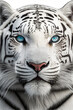 Realistic Portrait of a white tiger. Designed using generative ai