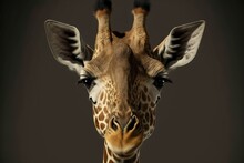  A Giraffe's Head With A Black Background And A Brown Background With A White Stripe And A Black Background With A Giraffe's Head And A Brown Background With A Black Spot. Generative AI Generative AI
