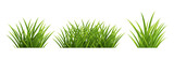 Fototapeta  - green grass isolated on white