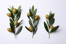 Twigs With Olives And Fresh Green Leaves On White Background, Flat Lay