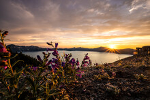 Purple Penstemon Flowers And Sunset From Skell Head