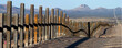 © Cavan Images - The new post & rail border fence runs along the Mexico border with Arizona.