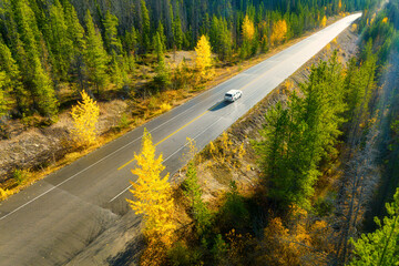 Wall Mural - a drone view of a road in the middle of a forest. a car on the road. a straight road among the trees