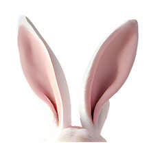 White Rabbit Ears Transparent Cut-out Background. Easter Day. 3d Rendering Illustration.