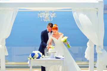 Wall Mural - Beautiful young couple bride and groom celebrate wedding on Santorini