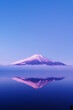 早朝の幻想的な富士山