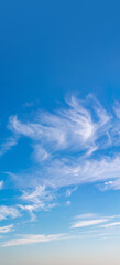 Wall Mural - fantastic clouds against blue sky, panorama