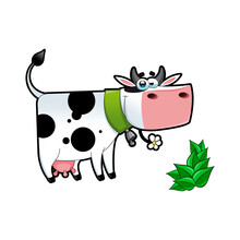 Cute Cow Smiling Illustration Vector.