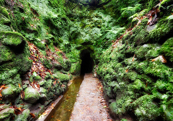 Tunnel in Madeira on walk hiking trail, Levada Caldeirao Verde