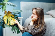 Young Upset, Sad Woman Examining Dried Dead Foliage Of Her Home Monstera Plant. Houseplants Diseases. Diseases Disorders Identification And Treatment, Houseplants Sun Burn. Damaged Leaves