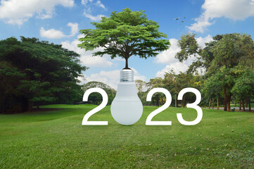 2023 white text with fresh tree on soil with led light bulb on green grass field and trees in park, Happy new year 2023 ecological cover concept