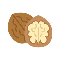 Wall Mural - Walnut nut icon. Walnuts in nutshell and peeled walnut.