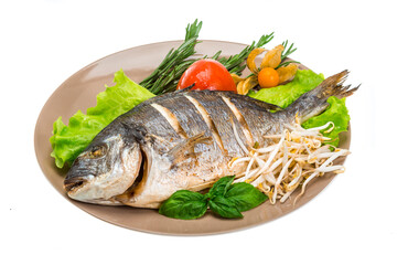 Grilled dorada