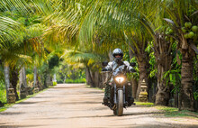 Man Riding Motorcycle Down Road With Palm Trees On Sides, Bangkok, Thailand