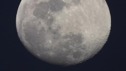 Wall Mural - Beautiful Moon - close-up - clear .