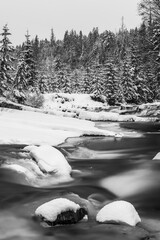 Wall Mural - Winter landscape, snowy trees in forest and frozen river, black and white photo